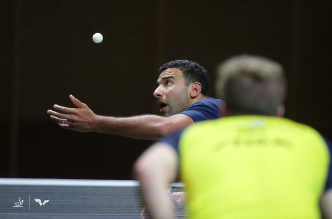 科亨的回归 科亨的回归