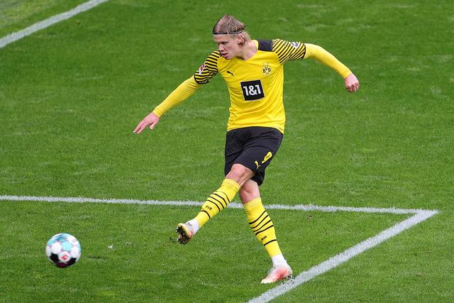 到最大化释 到最大化释