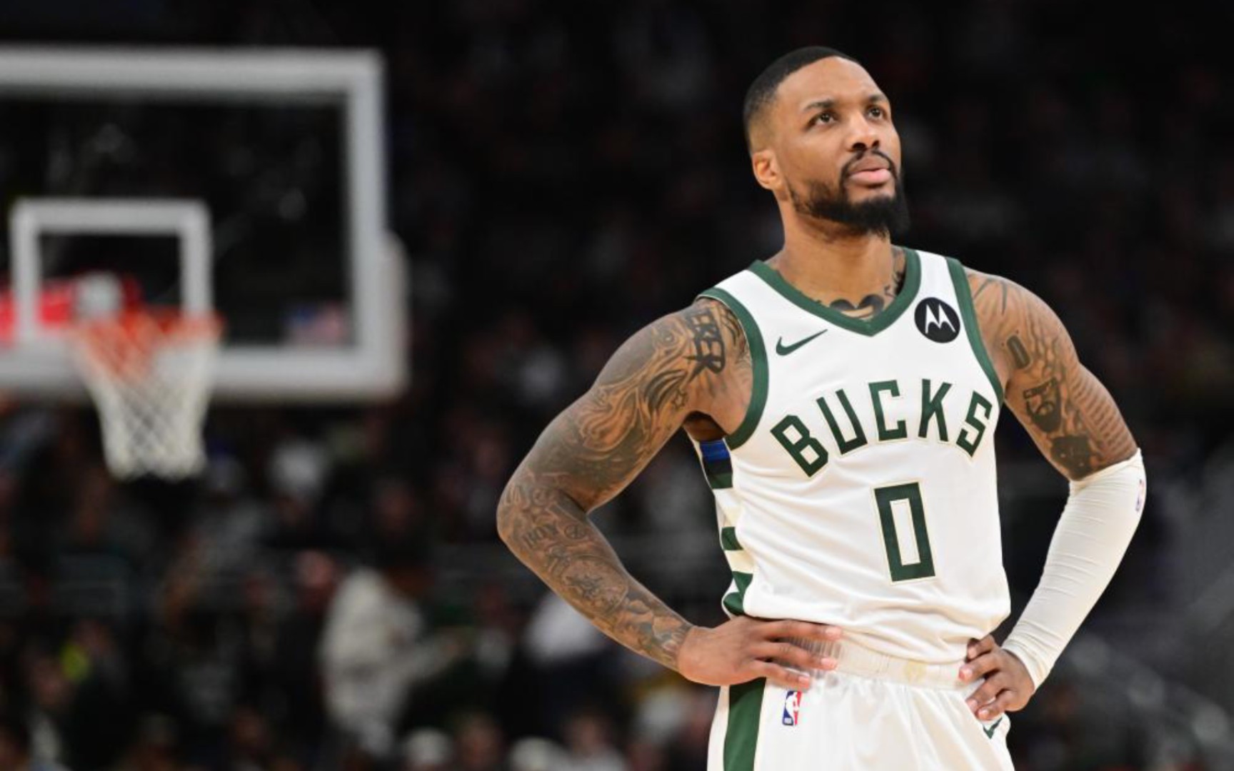 新鲜血液 新鲜血液