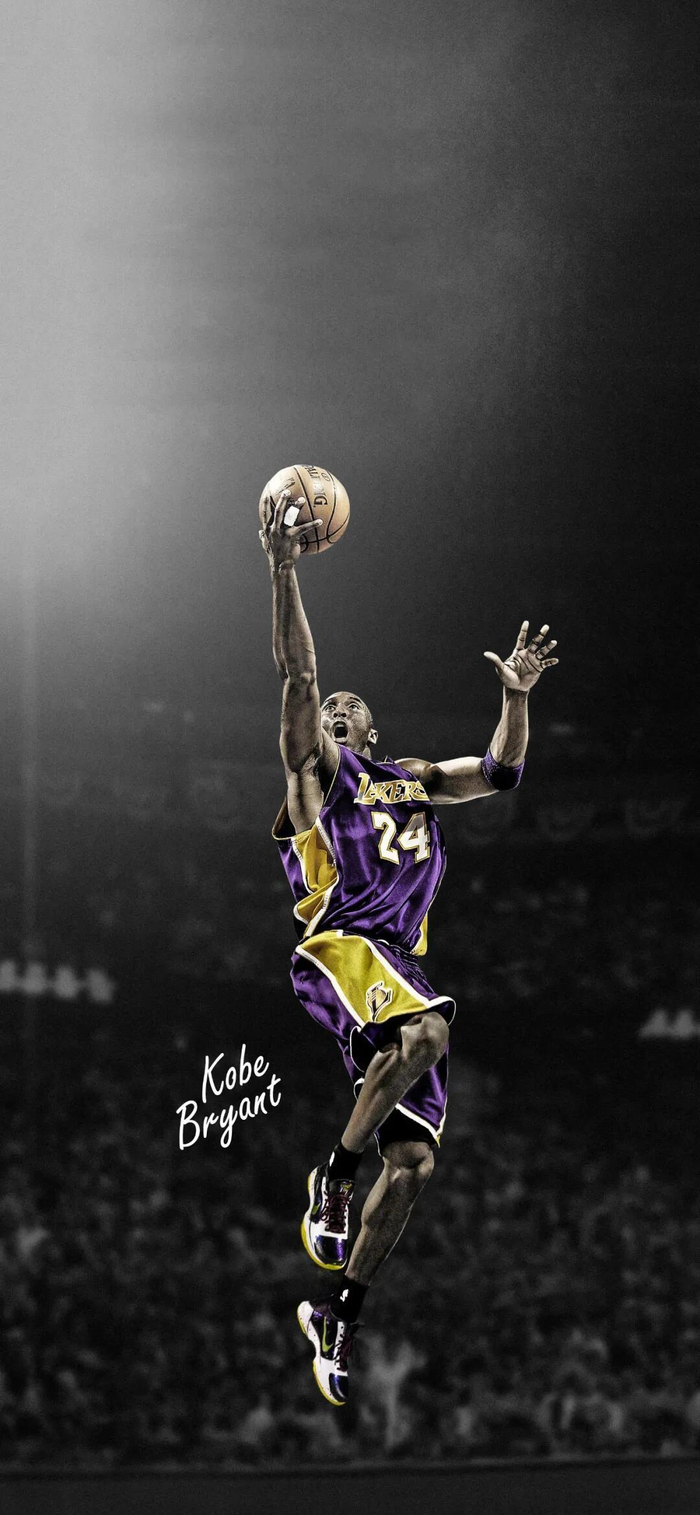 成绩耀眼 成绩耀眼